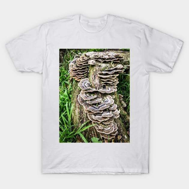 Mushroom Stump. T-Shirt by Stus Road Trips